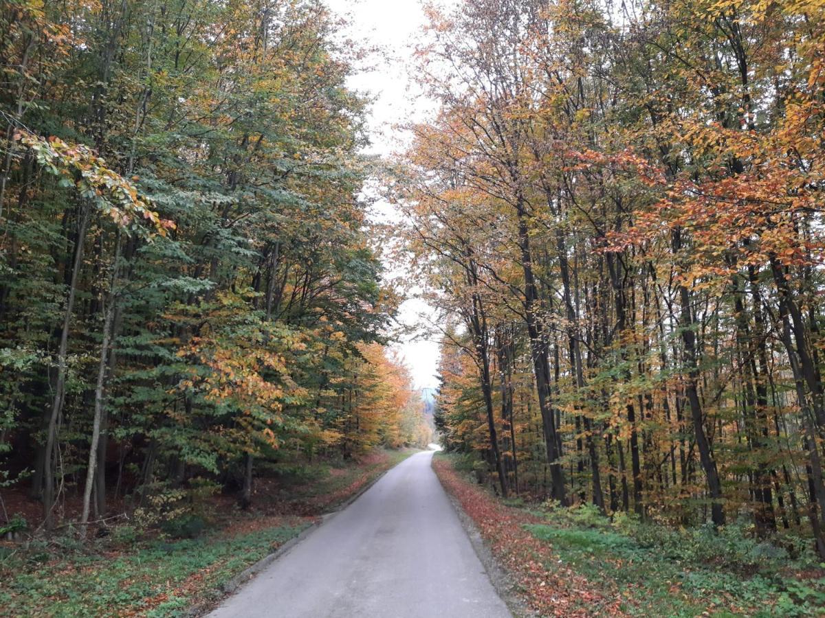 Erholungsheim Im Wienerwald Irenental Exterior foto